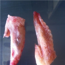 供应冷冻鸡翅尖