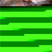 供应冷冻鸡排腿