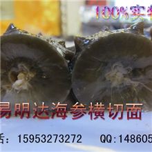 批发供应易明达淡干野生海参吃海参时应注意禁食哪几种食物