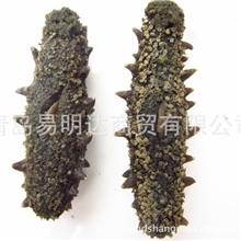 批发供应淡干海参野生海参极品海参易明达海参