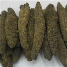 一手进口海参南美参小北极参