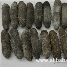 AAA级日本纯淡干关西辽参，刺参，海参