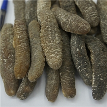 海参批发优质秃参黄金刺秃干海参