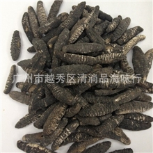 长崎参土耳其参小黑参