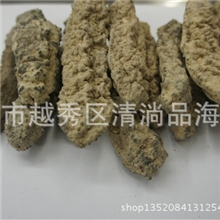 全国一手进口海参批发20-25头中东黄肉参干海参