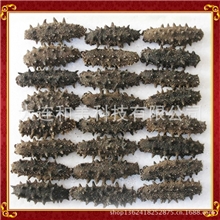 大连海参海参批发纯淡干海参海参干货80头/斤海鲜干货海参