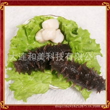 大连海参半干海参20-50头大连海参批发水发海参海鲜干货礼盒