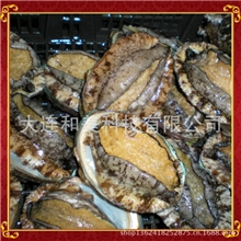 大连特产鲍鱼即食鲍鱼大连海参批发海鲜干货水产海鲜