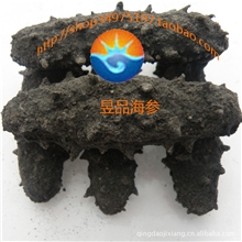 [厂家直销]天然野生优质淡干海参防腐防潮