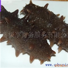 青岛刺身大连海参淡干海参干盐渍海参(图)