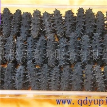 元旦春节送礼必选青岛纯天然野生干货B淡干海参精美时尚营养高