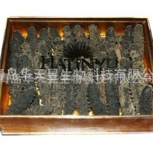 厂家批发供应山东【干海参】