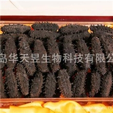 厂家批发供应山东【干海参】健康礼品