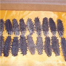 正宗关西辽参60&mdash;80支5.2元/克