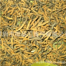 虫草冬虫夏草供应西藏优质冬虫夏草3200条一公斤假一赔十