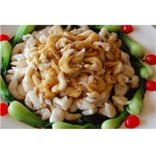 水产批发直销供应鸟贝