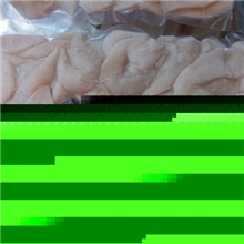 优质低价大鸟贝/海鲜/大连海产品批发