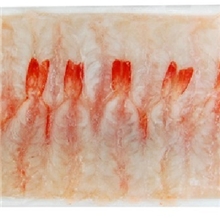 供应优质日式料理原材料玻璃虾