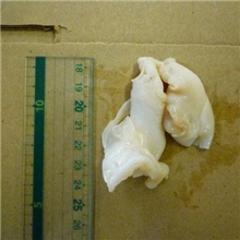 304-翡翠螺肉WhelkMeat