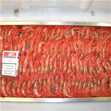 205-北极甜虾ColdWaterShrimp