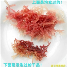 海底燕窝血珊瑚纯天然海藻超高胶原蛋白！调经补气血佳品！