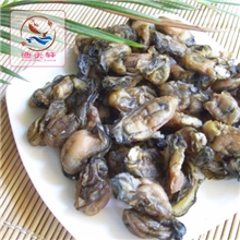 湛江海鲜干货蚝鼓干牡蛎蚝干海蛎不抽油新鲜补锌补肾水产批发