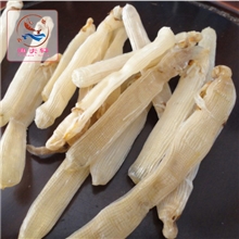 渔夫轩海味北海顶级沙虫干海肠滋阴补肾宝宝煲粥50g水产干货