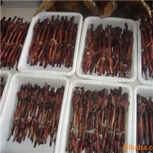 厂家大量批发优质干鲜梅花鹿鞭，马鹿鞭，鹿鞭片，鹿鞭膏，鹿鞭粉