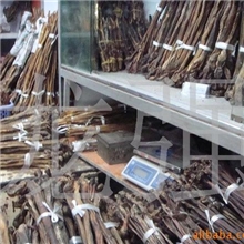 大量供应牦牛鞭