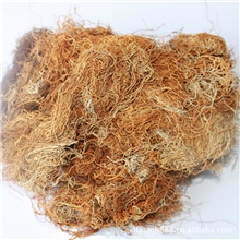 西藏特级金丝雪茶