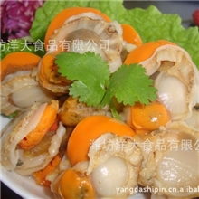 本公司大量出售皇冠贝