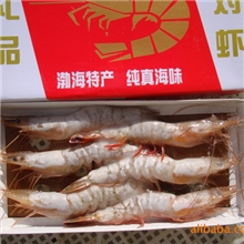 本公司大量批发渤海海捕有头对虾