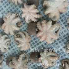 本公司大量提供深海野生熟章鱼