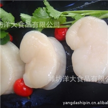 厂家大批量销售江珧贝柱