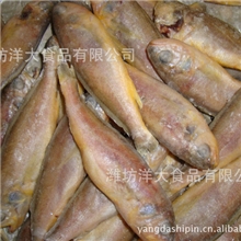 大批量供应小黄花鱼