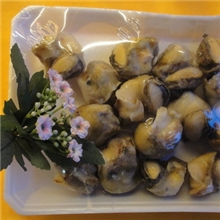 长期供应冰冻海螺各种海产品