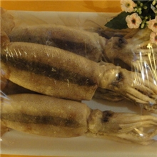 供应鱿鱼--水产品批发