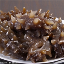 长期供应批发北朝鲜纯野生干参、盐渍参、即食参质优加廉