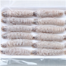 新鲜海鲜虾咕肉皮皮虾濑尿虾