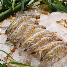 单冻青虾仁新鲜冷冻水产品