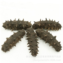 特级淡干海参野生海参高品质海参干货7-9年野生刺参50g包邮