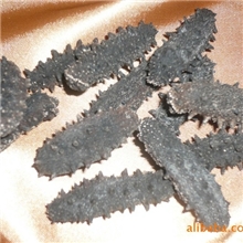 极品淡干海参野生刺参长期供应青岛海参青岛鲍鱼