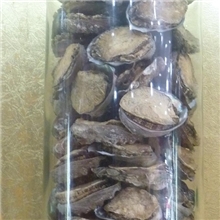 红房子厂家专供各种优质海参野生海参淡干海参冻干海参
