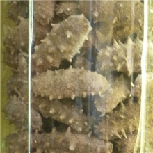 直销海参鲍鱼淡干海参冻干海参冻干鲍鱼野生海参质量保证