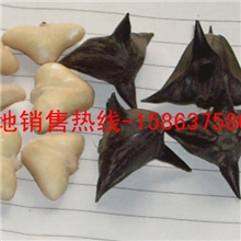 供应微山湖野生菱角米菱角仁