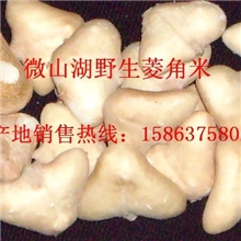 产地供应野生菱角米菱角仁12元/500克