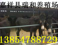 湖北湖南肉驴养殖场,山东肉驴养殖基地驴养殖一头的价格？