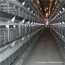 供应鸡笼全自动4重叠鸡笼技术指导厂家批发