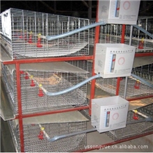 厂家生产供应鸡笼专业制作批发鸡笼