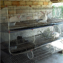 生产兔笼，兔笼配件